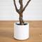 8ft. Artificial Grand Olive Tree in White Decorative Planter